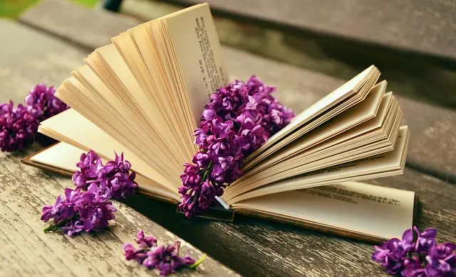 Cómo interpretar las tendencias de descuentos en línea